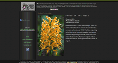 Desktop Screenshot of orchidworks.com