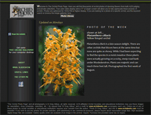 Tablet Screenshot of orchidworks.com